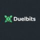 Duelbits casino